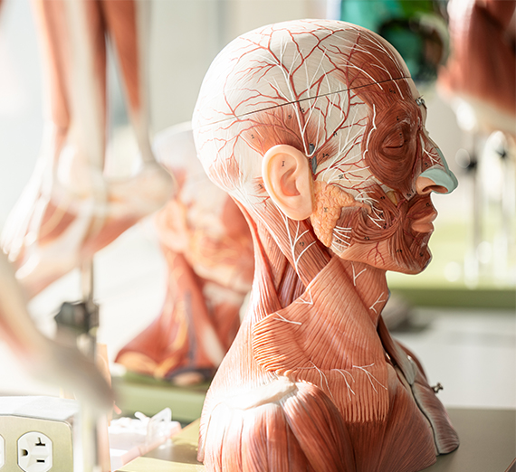 The Rosauer Center for the School of Education. (GU photo)